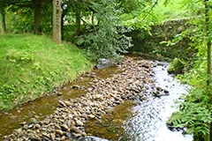 The Gimmerton Valley