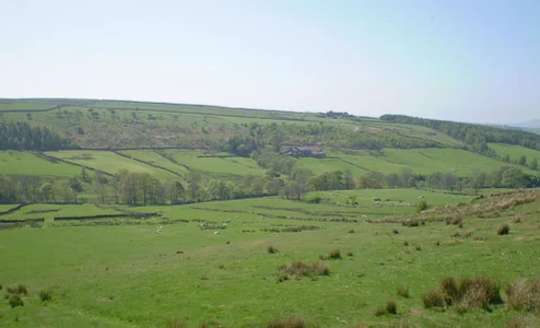 Farmland near Holne